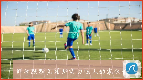 那些默默无闻却实力惊人的家伙们三十个故事带你领略他们的风采与传奇